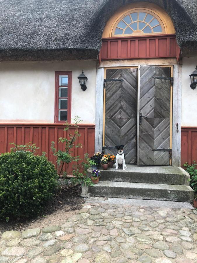 ヘルシンボリ Vasatorps Matologi Bed & Breakfast エクステリア 写真